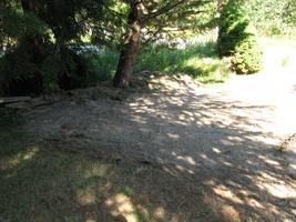 yard work 2010